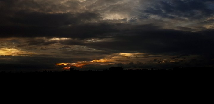 Evenings