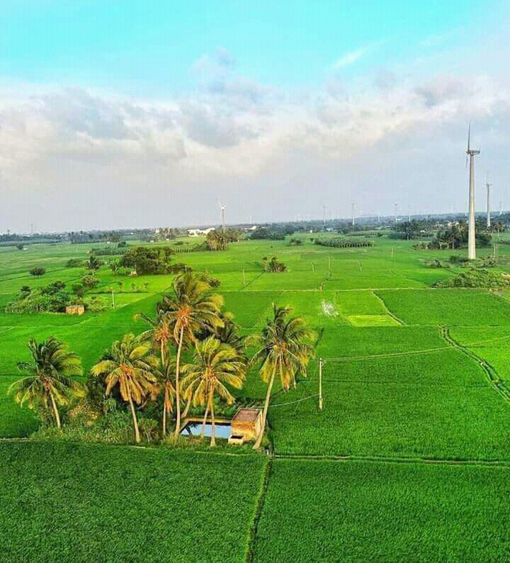 Green land