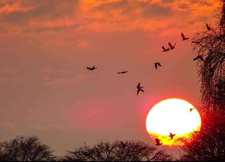 i love sunset's, so pretty