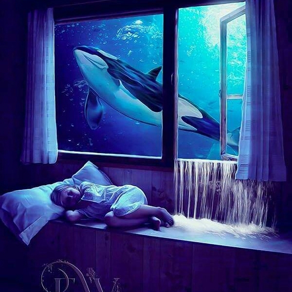 dreams