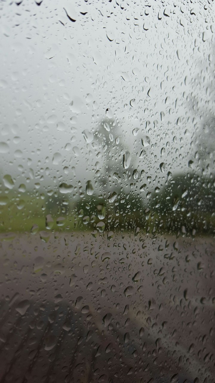 Rain