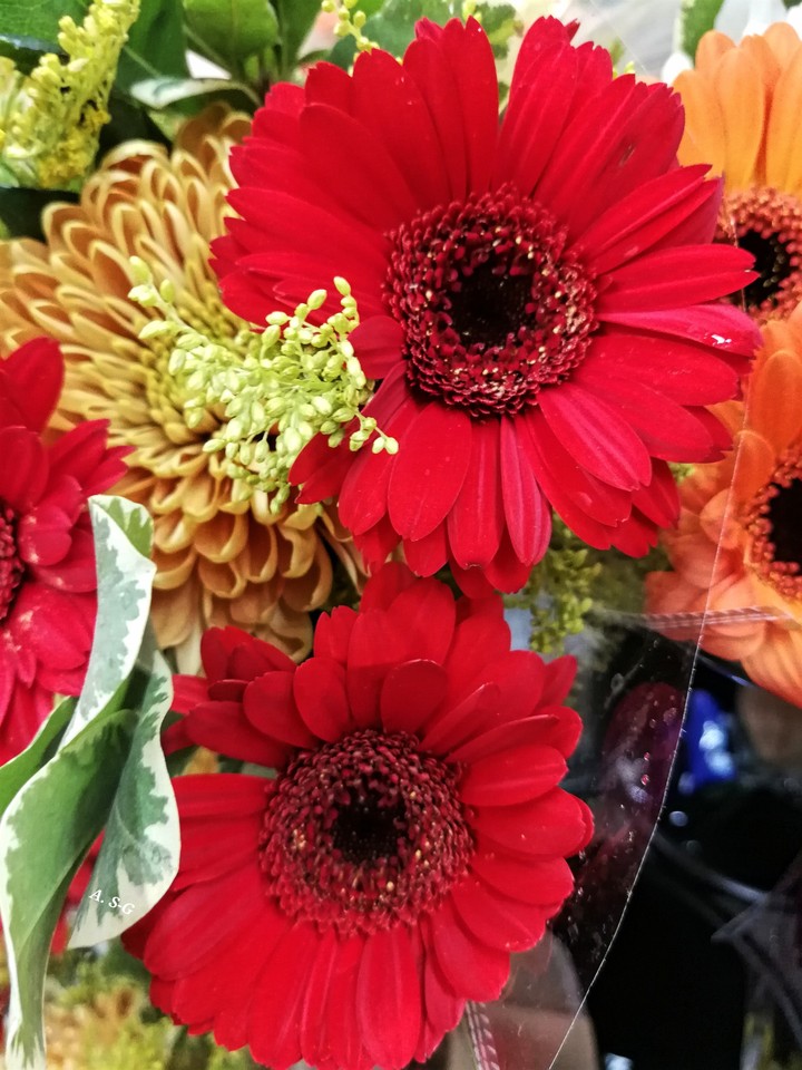 Blumen