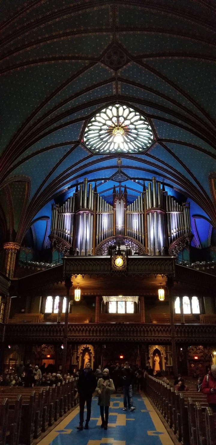 Cathedral 3