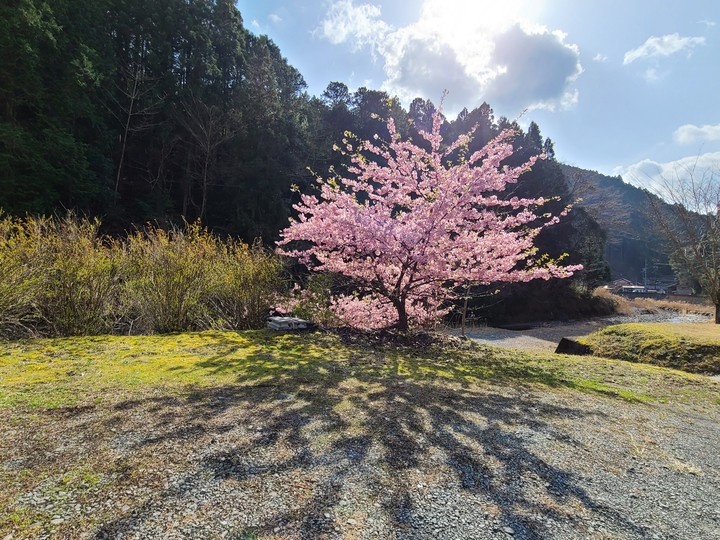 春の景色