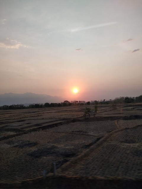 sunset