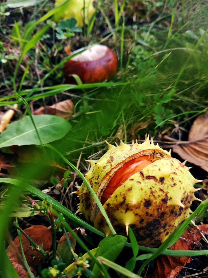 .