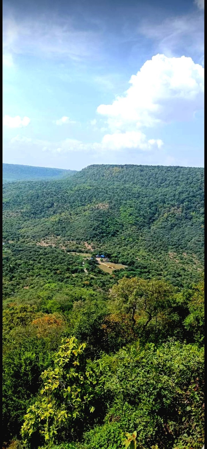 Nature is beautiful by its nature