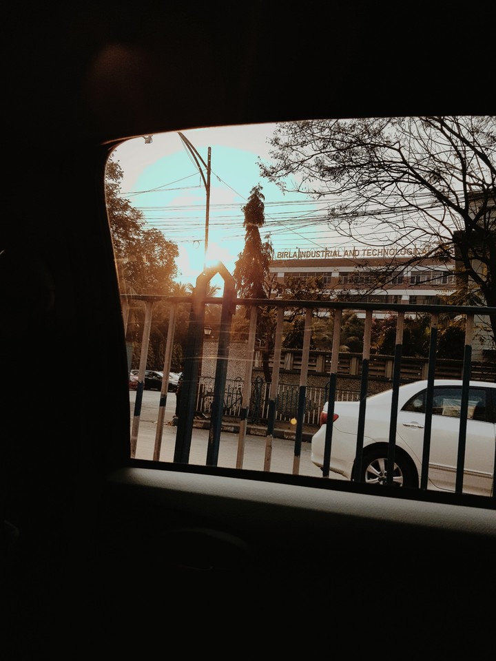 Looking out the window~