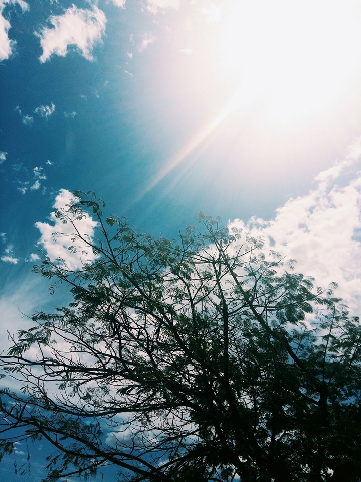 Céu
