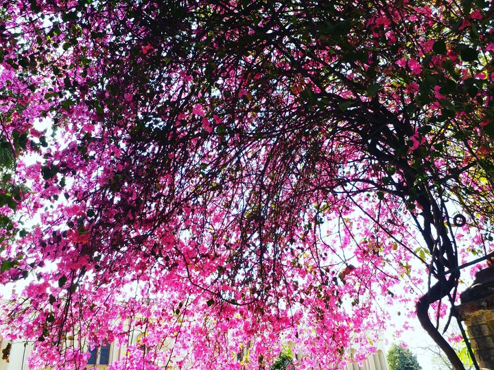 Spring perks