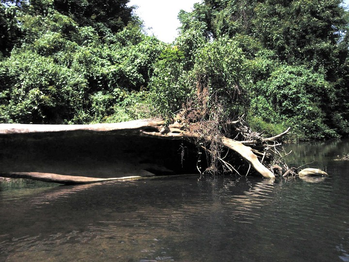 kerala border area