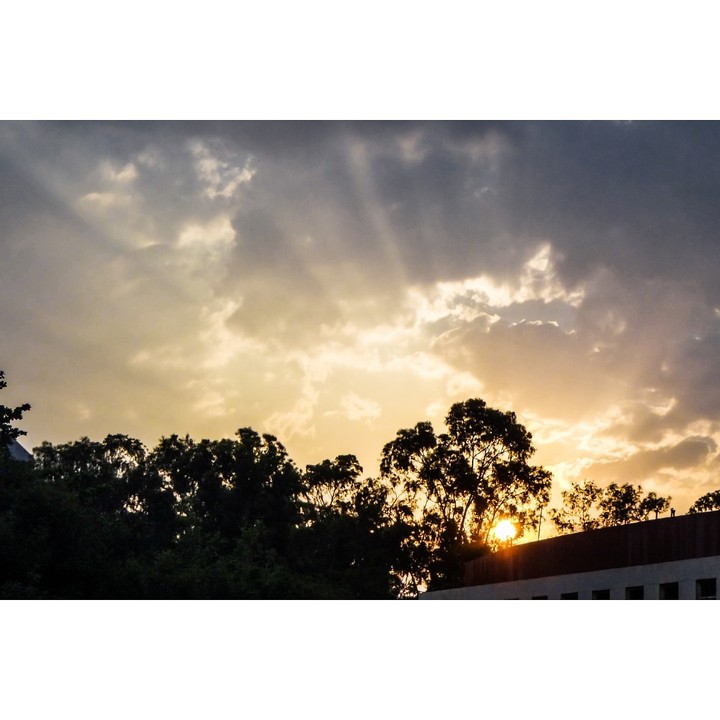 evening rays