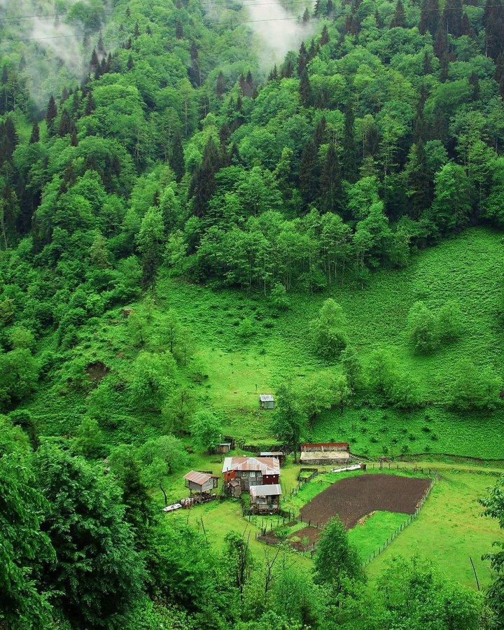 iran, guilan