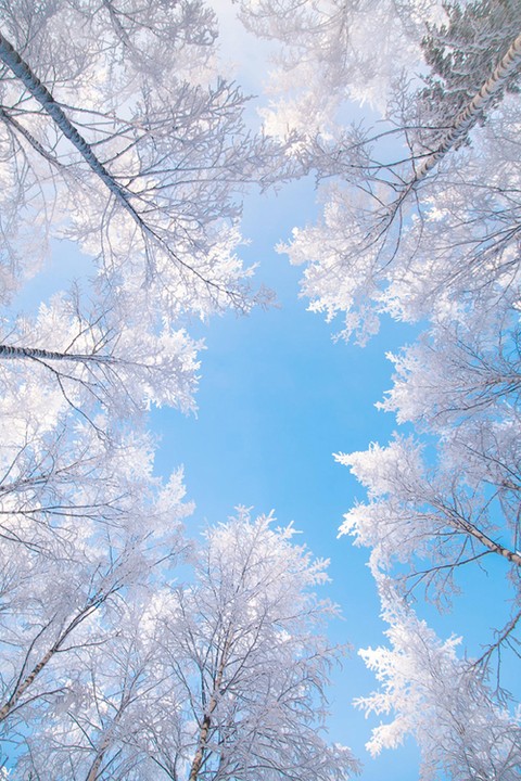 winter❄️