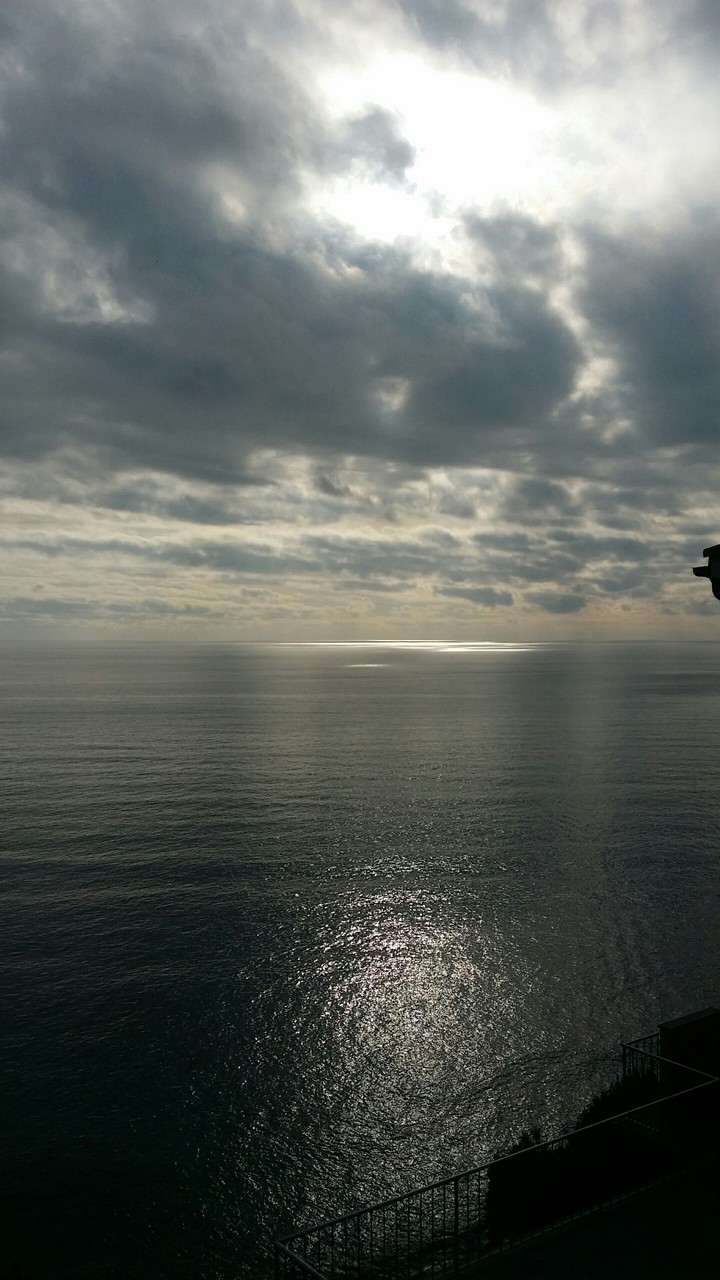 mare