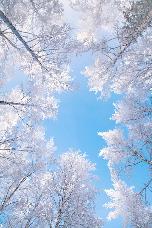 winter❄️