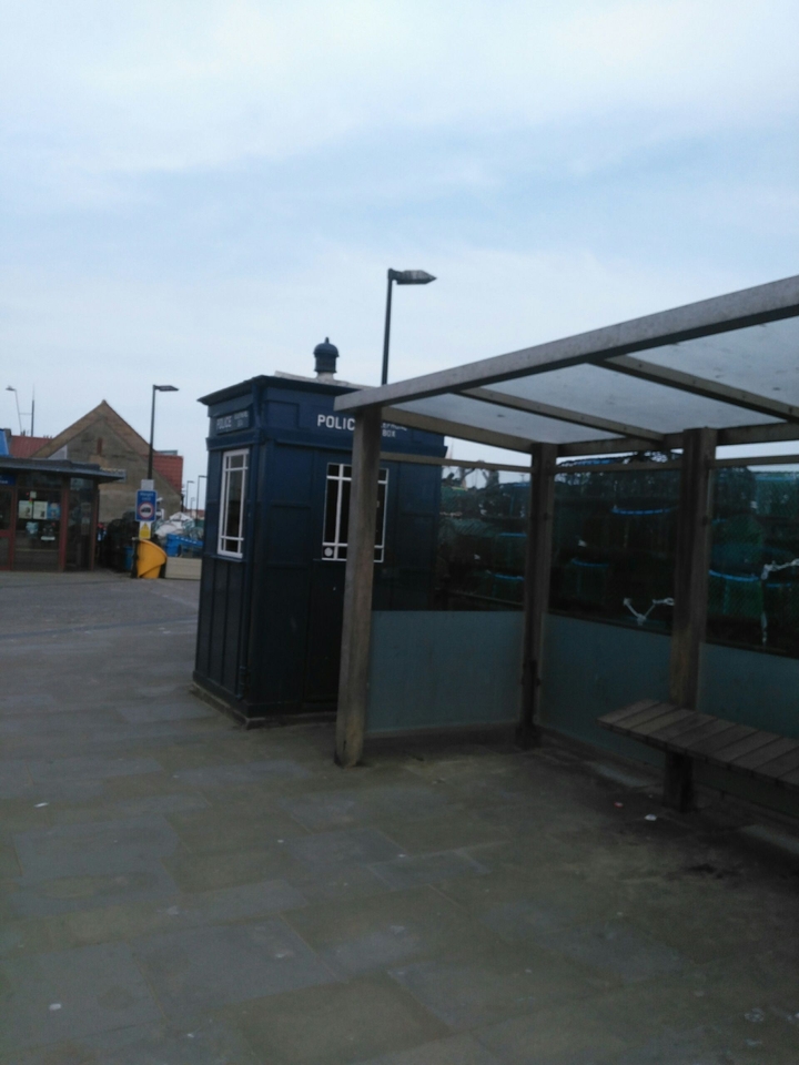 tardis