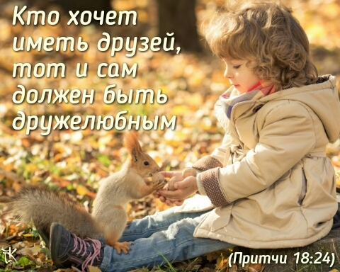 friendship