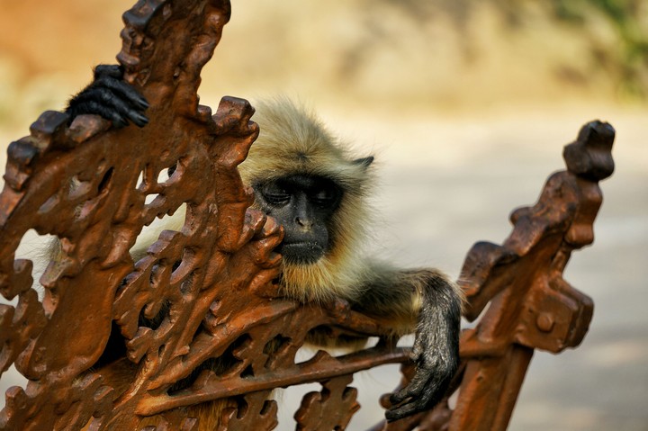 resting man
