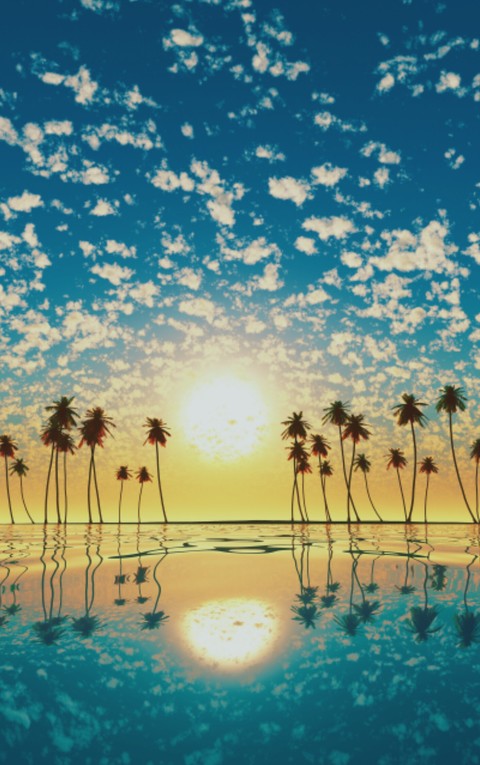 pôr do sol