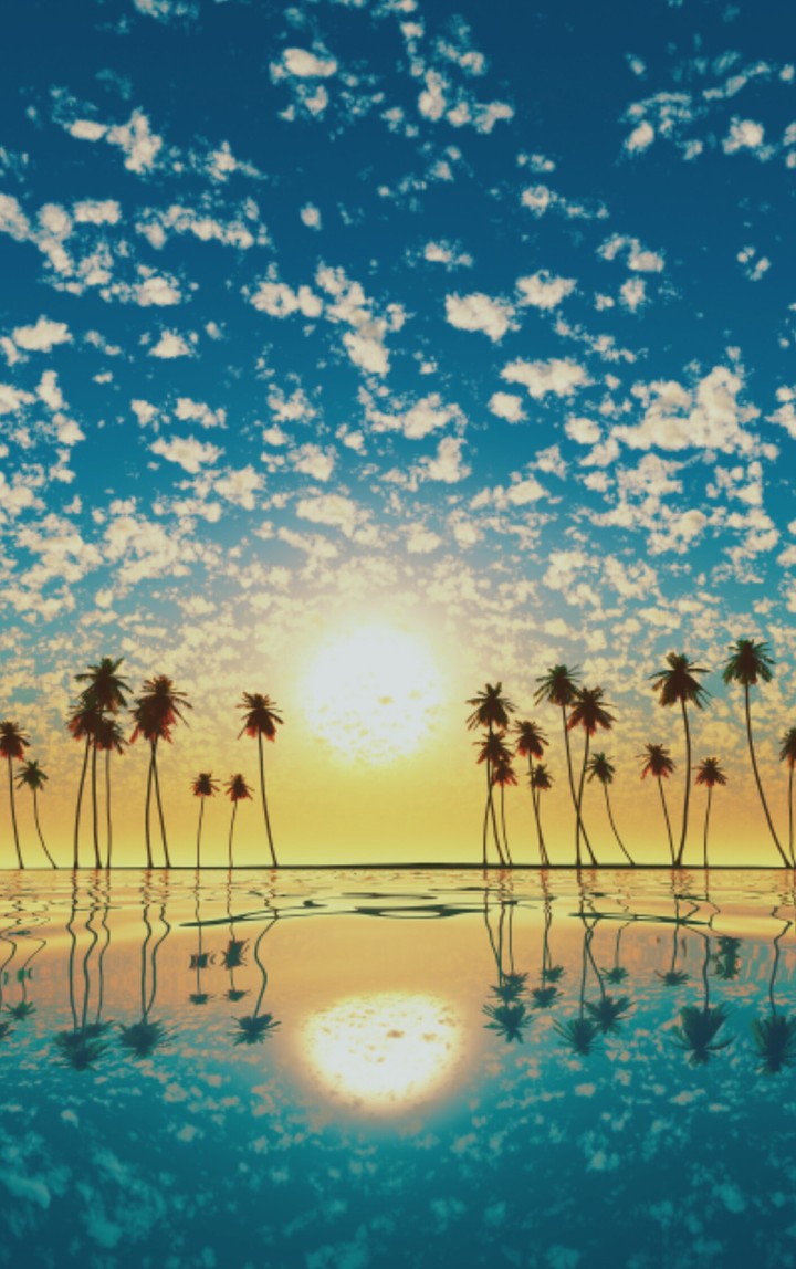 pôr do sol