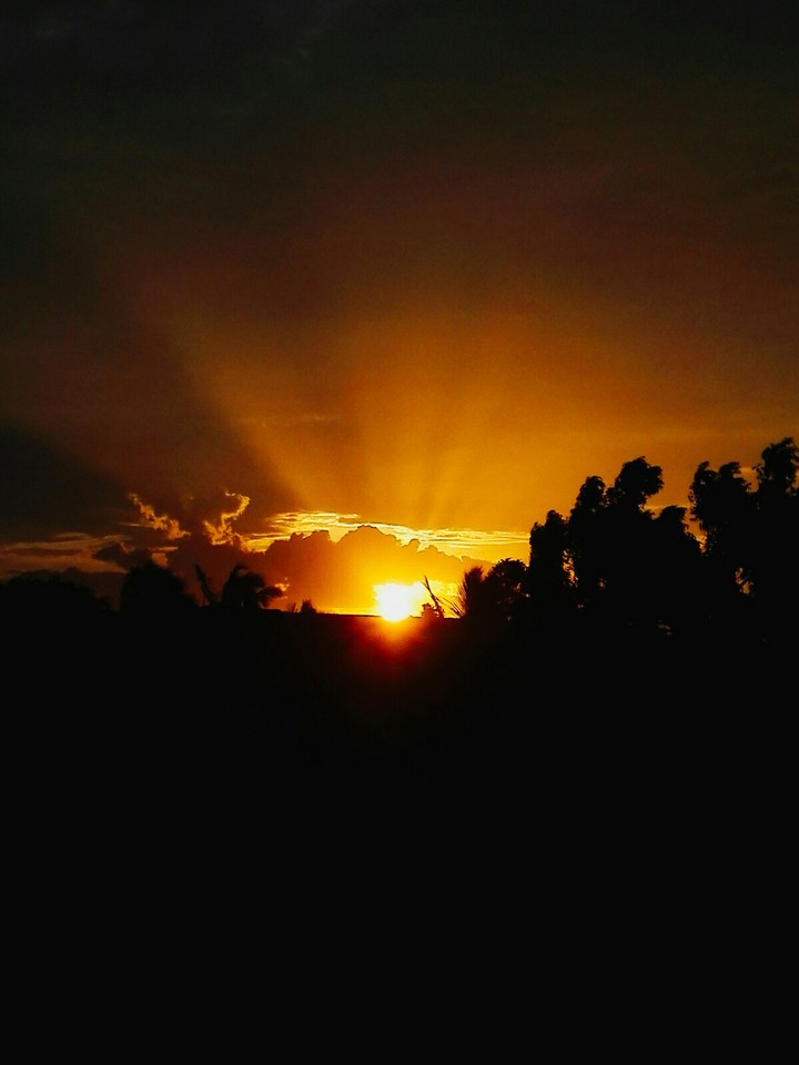 sunshine...