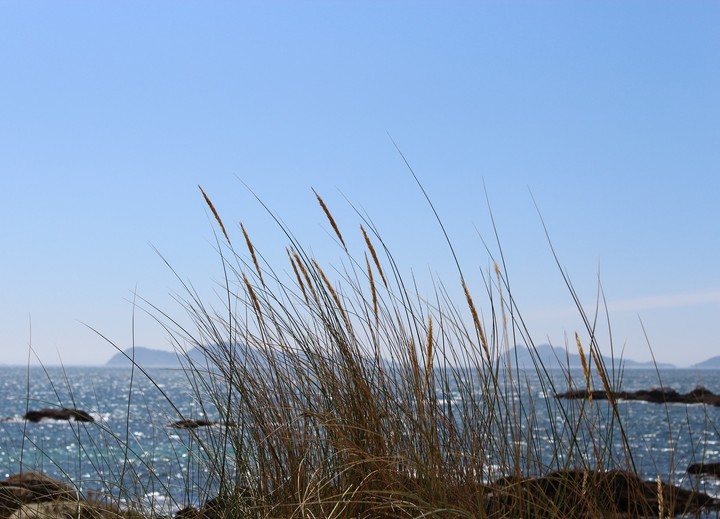Islas Cíes