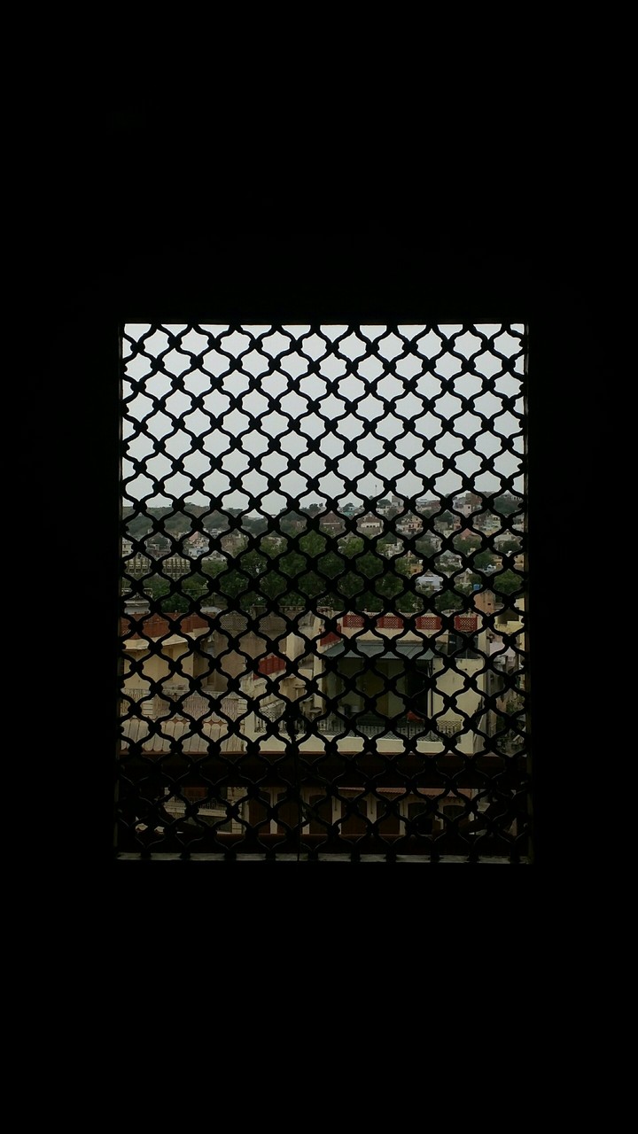 Window