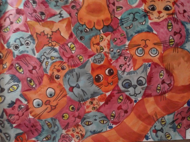 котики