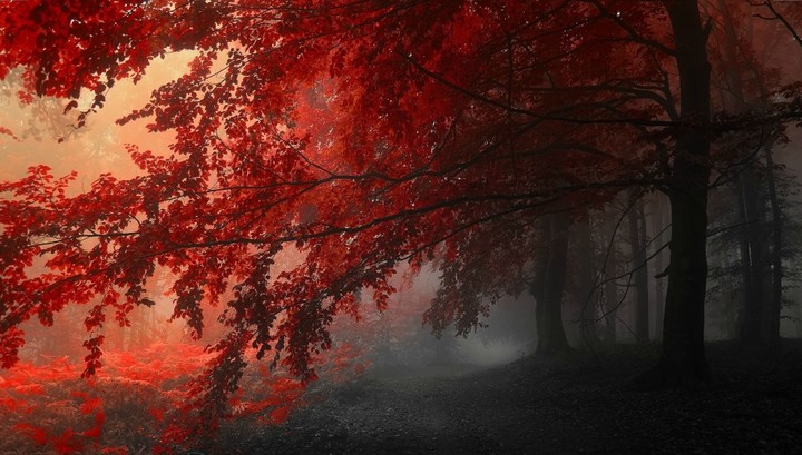 fall