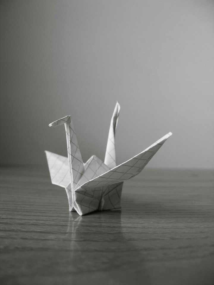The Origami