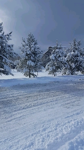 winter, snow