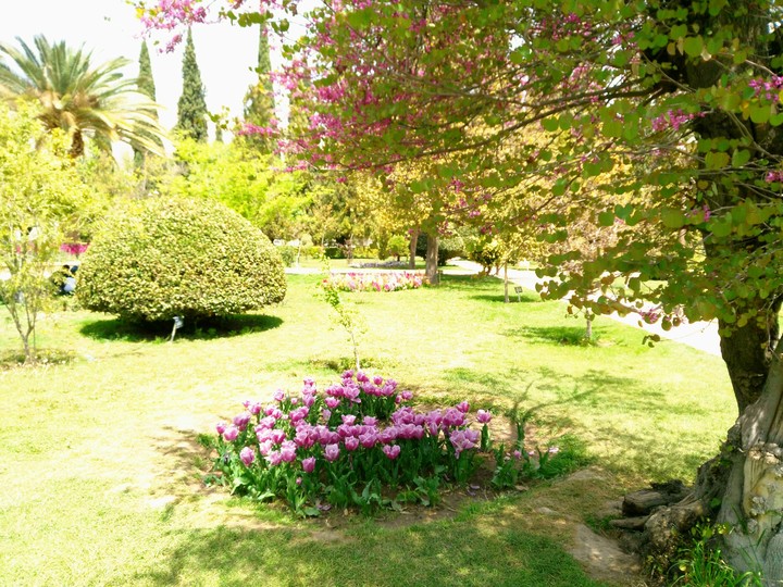 eram garden