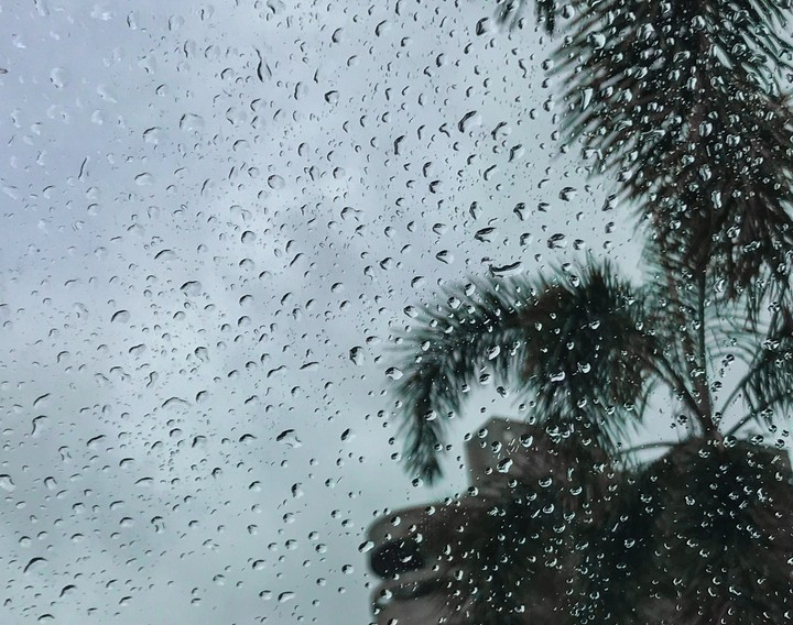 Rain 