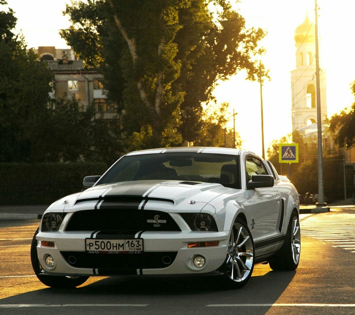 Muscle beast