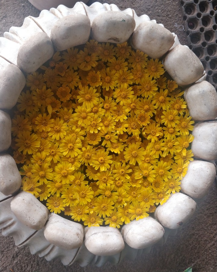 flower decoration