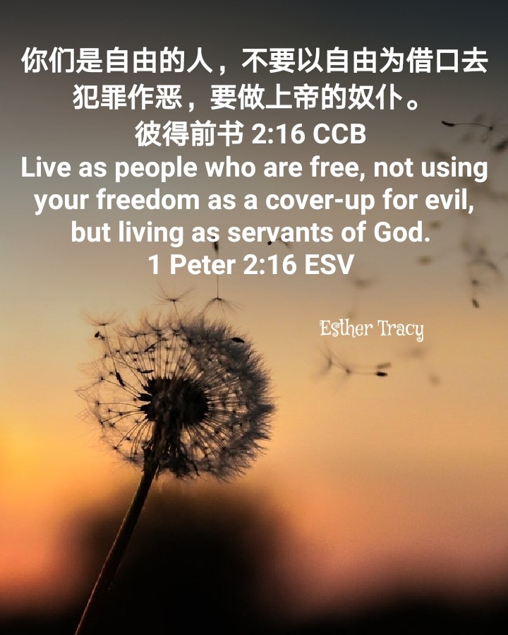 Live as people who are free