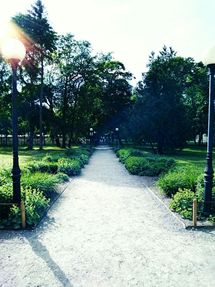 Trail