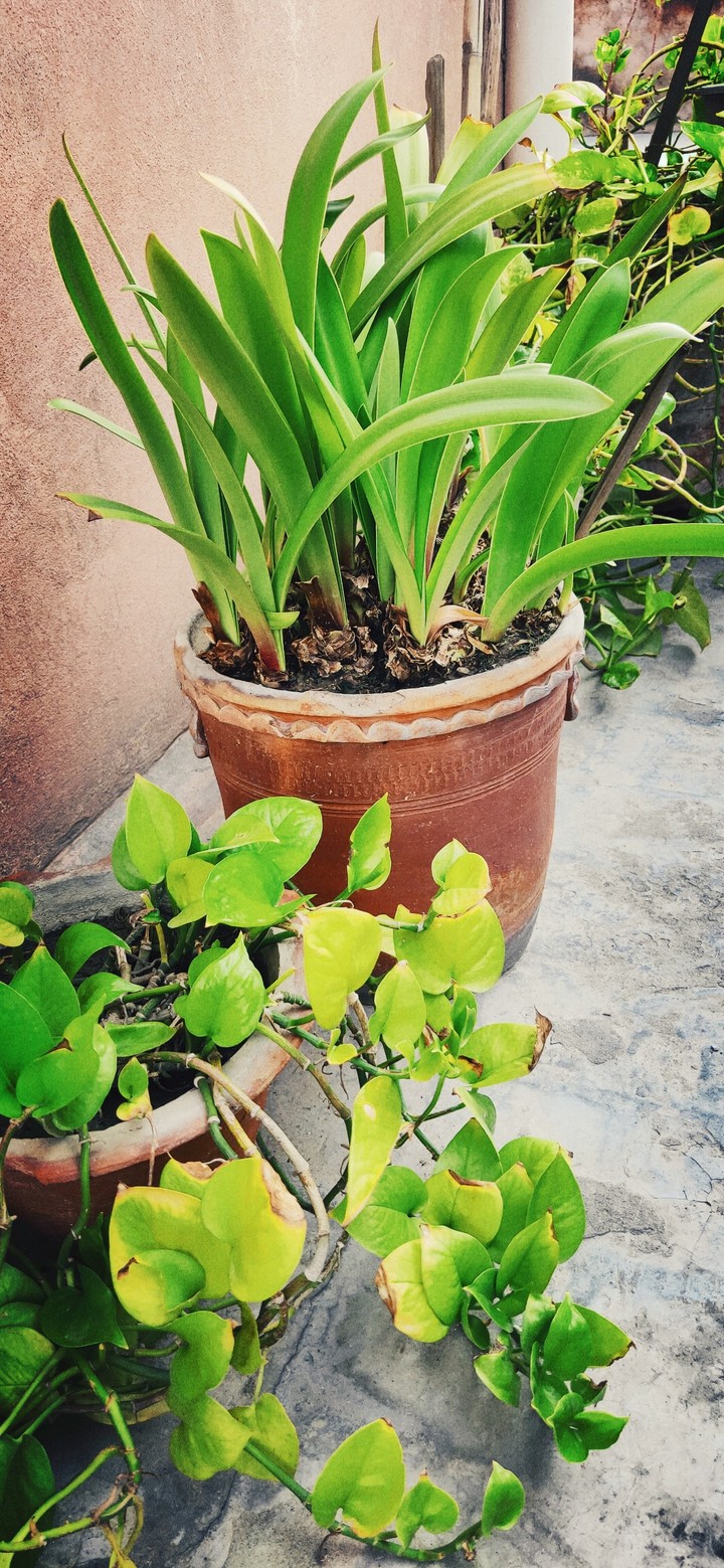 Random Click