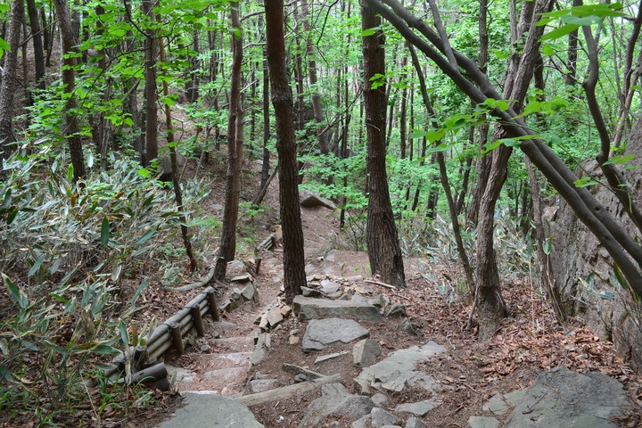 산이미지