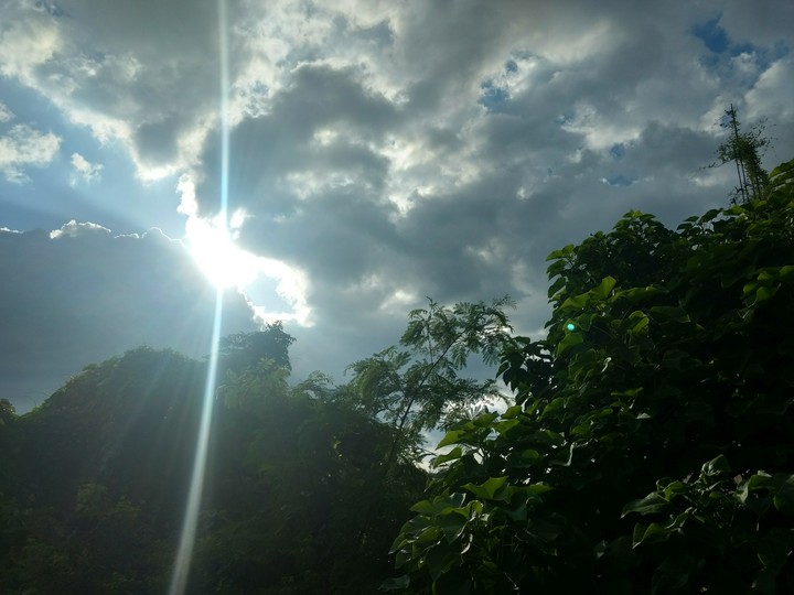 sunlight