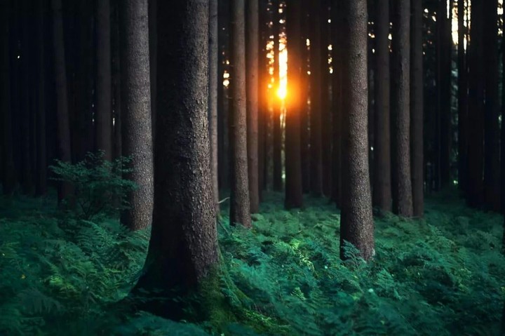 Silence
