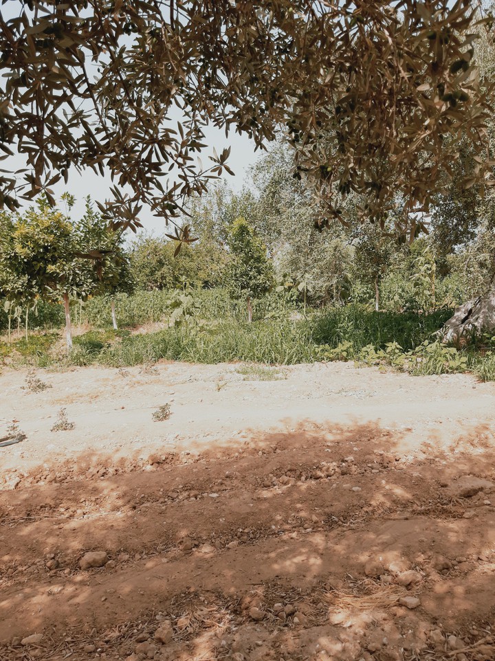 Nature?