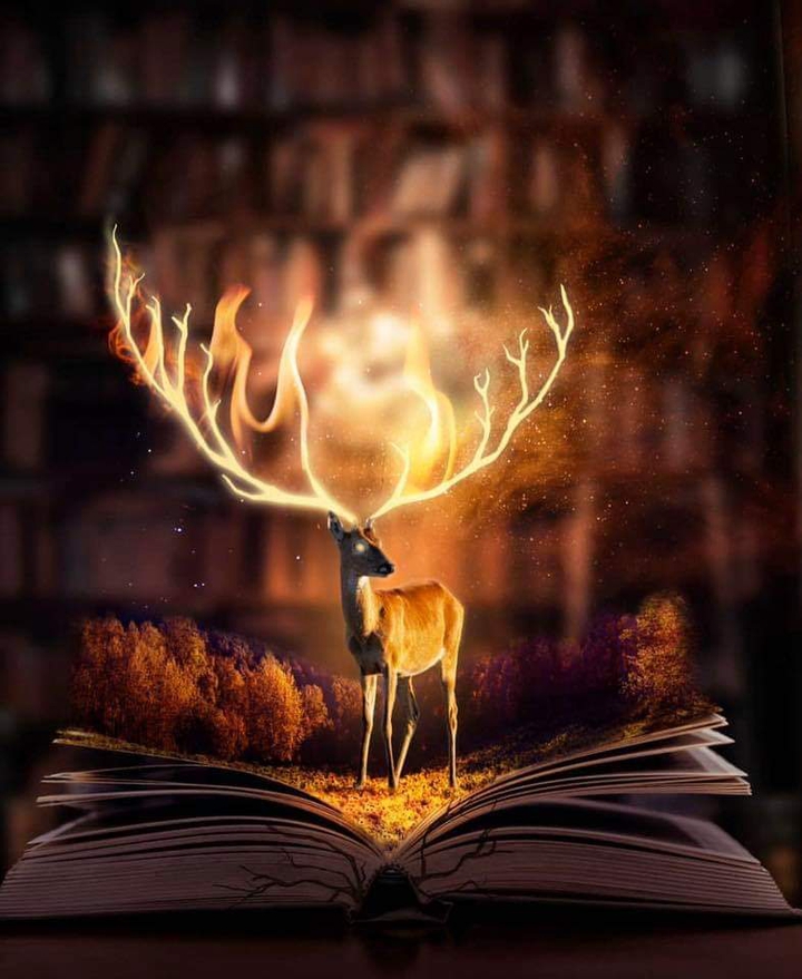Reading comes Alive