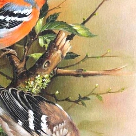 6x puzzle bird