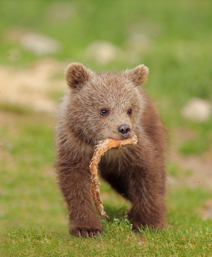 #cute