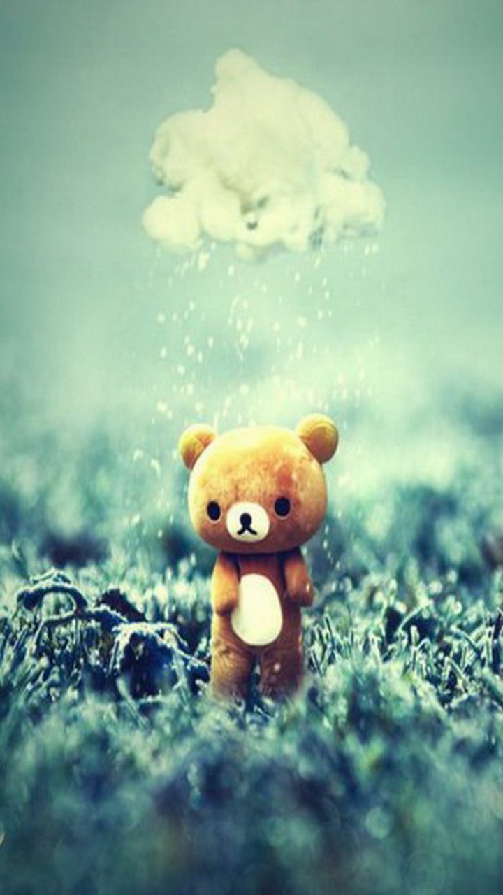 Teddy Bear
