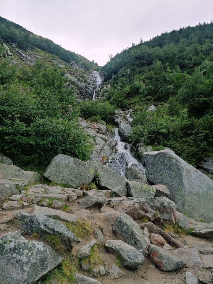 Mountain Stream