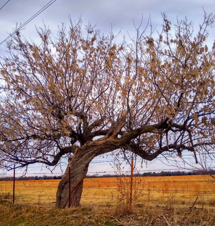 fall