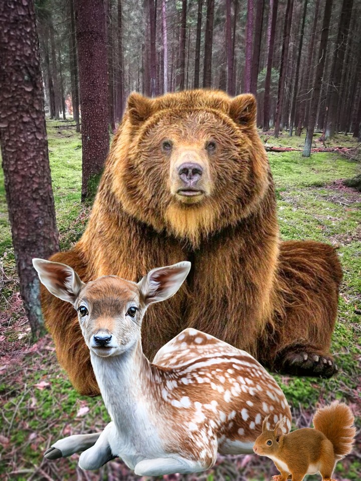 Wald Tiere